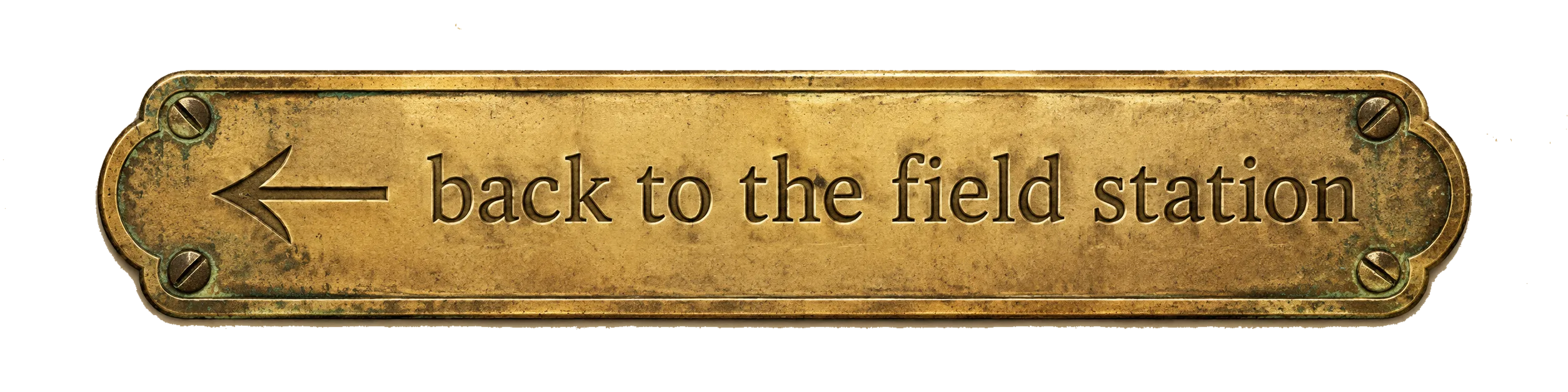 Back to the field station